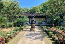 国清景区18