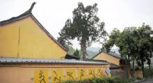 陈溪漂流3