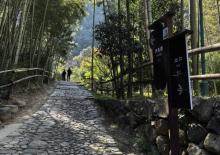 芝林古道5