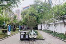 大步公园2