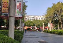 福民公园6