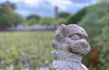 慧济寺21