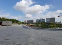 大东江公园3