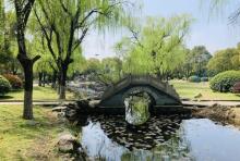 浦东公园3