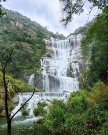 天台山大瀑布10