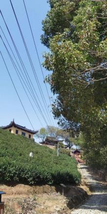 小灵峰寺5