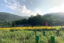 秀山岛景区11