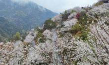 深秀谷景区1
