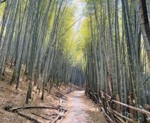 松石岭古道1