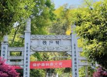 松石岭古道4