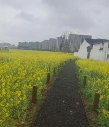 李惠利故居1