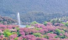 四明山杖锡风景区1