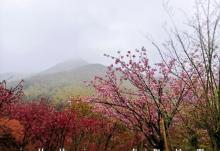 四明山杖锡风景区4