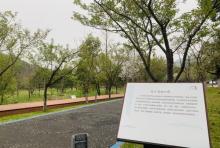 马山湿地3