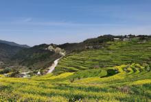 覆卮山景区17