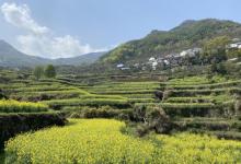 覆卮山景区7