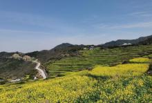 覆卮山景区14
