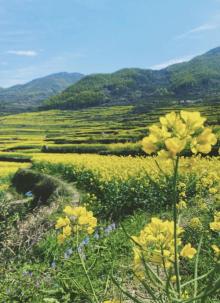 覆卮山景区23
