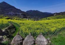 覆卮山景区13