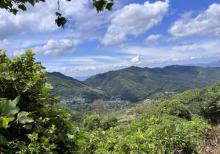 覆卮山景区6