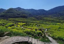 覆卮山景区19