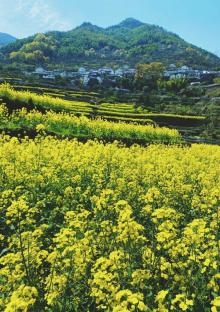 覆卮山景区25