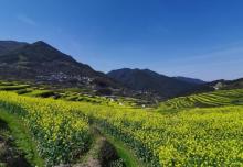 覆卮山景区15