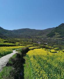 覆卮山景区16