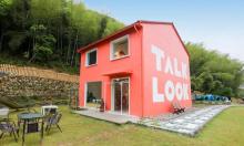 TALK LOOK艺术农场12