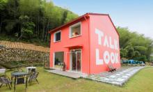TALK LOOK艺术农场9