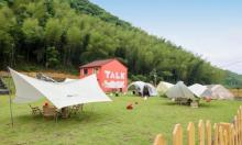 TALK LOOK艺术农场8