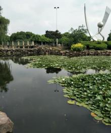掌起公园4