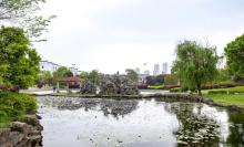 掌起公园1