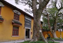 普济禅寺26