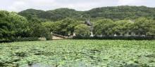 普济禅寺16