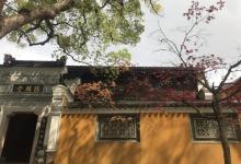 普济禅寺14