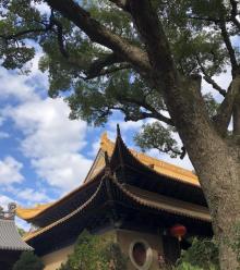 普济禅寺28