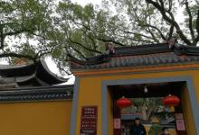 普济禅寺27