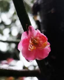 普济禅寺21