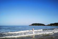 东沙28