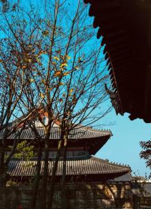 奉化中山公园12