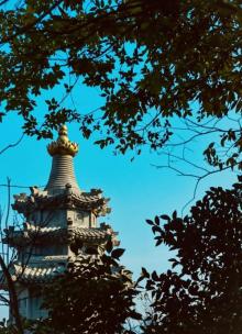 奉化中山公园9
