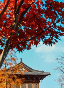 奉化中山公园8