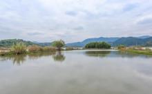 白洋湖2