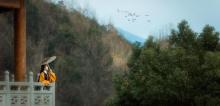 九峰山瑞岩景区7