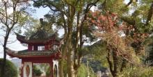九峰山瑞岩景区3