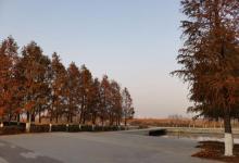 杭州湾新区中心湖公园3