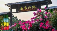 依山农场25