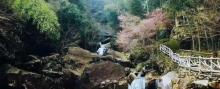 罗汉谷风景区7
