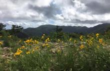 东海云顶旅游区3